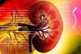 L’étude THOMAS (Towards HOMe-based Albuminuria Screening)