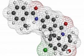 Mise à jour de la prise de position de l'ERA-EDTA WGIKD/ERKNET concernant la prescription du tolvaptan
